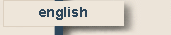 english website